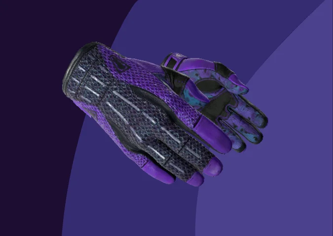 Sport Gloves | Pandora's Box