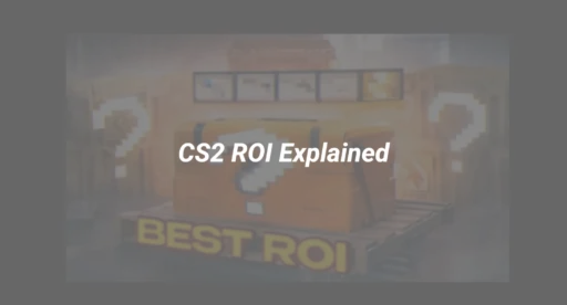 cs2 roi