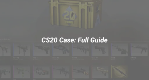 CS20 Case