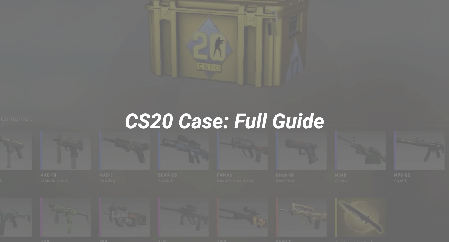 CS20 Case