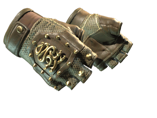 Hydra Gloves | Case Hardened