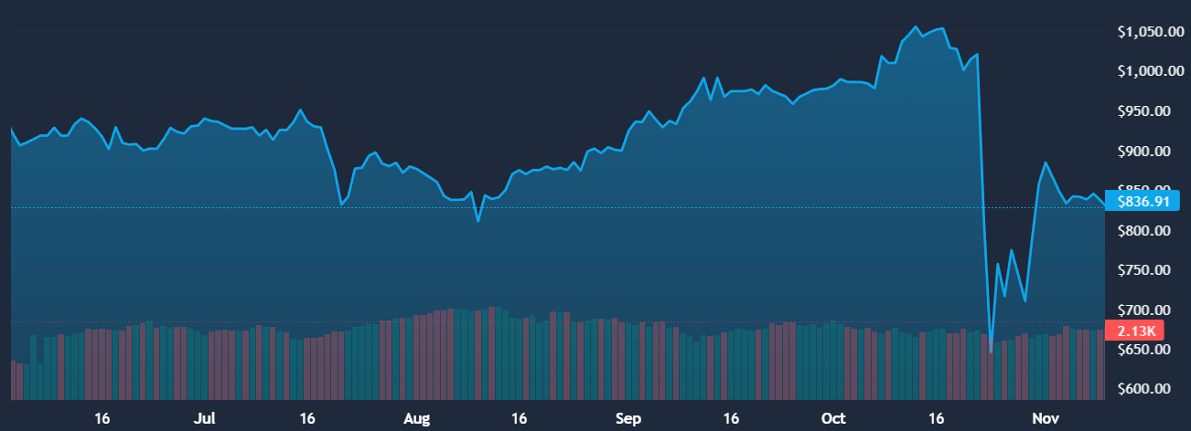 CS2 Skin Investment Picks