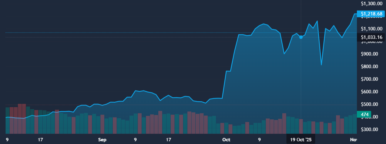 CS2 Skin Investment Picks