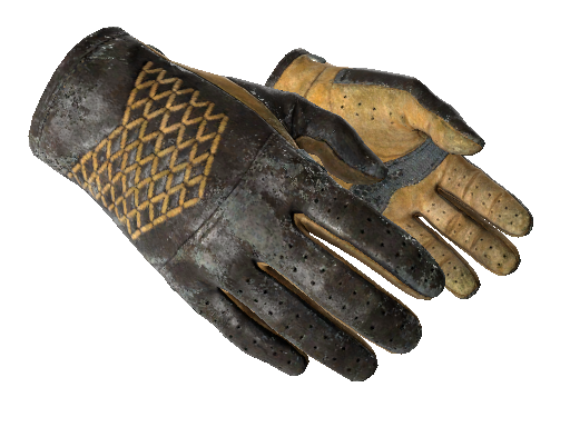 Driver Gloves Overtake