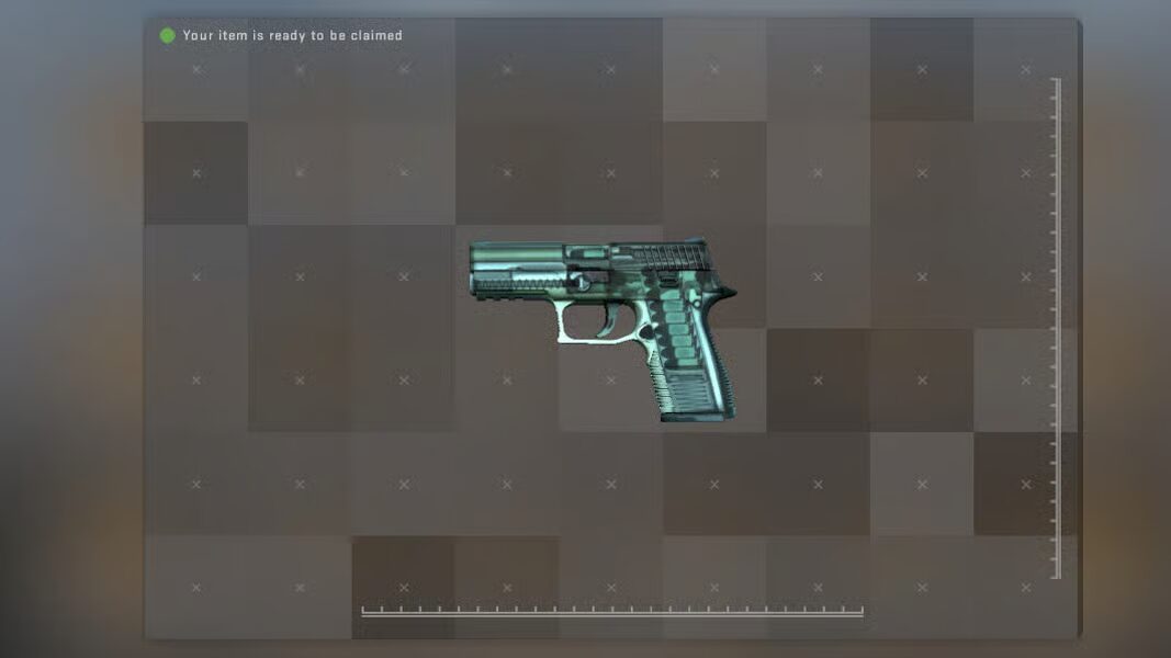 P250 X-Ray Skin