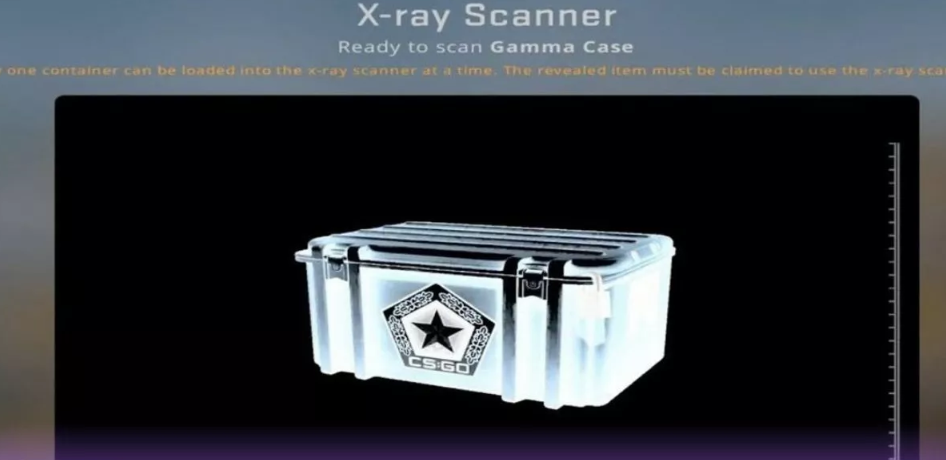 CS2 X-Ray Scanner