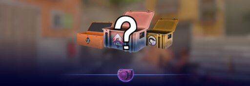 how many CS2 cases have I opened case opening history Counter Strike 2 inventory