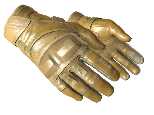 Moto Gloves | Transport
