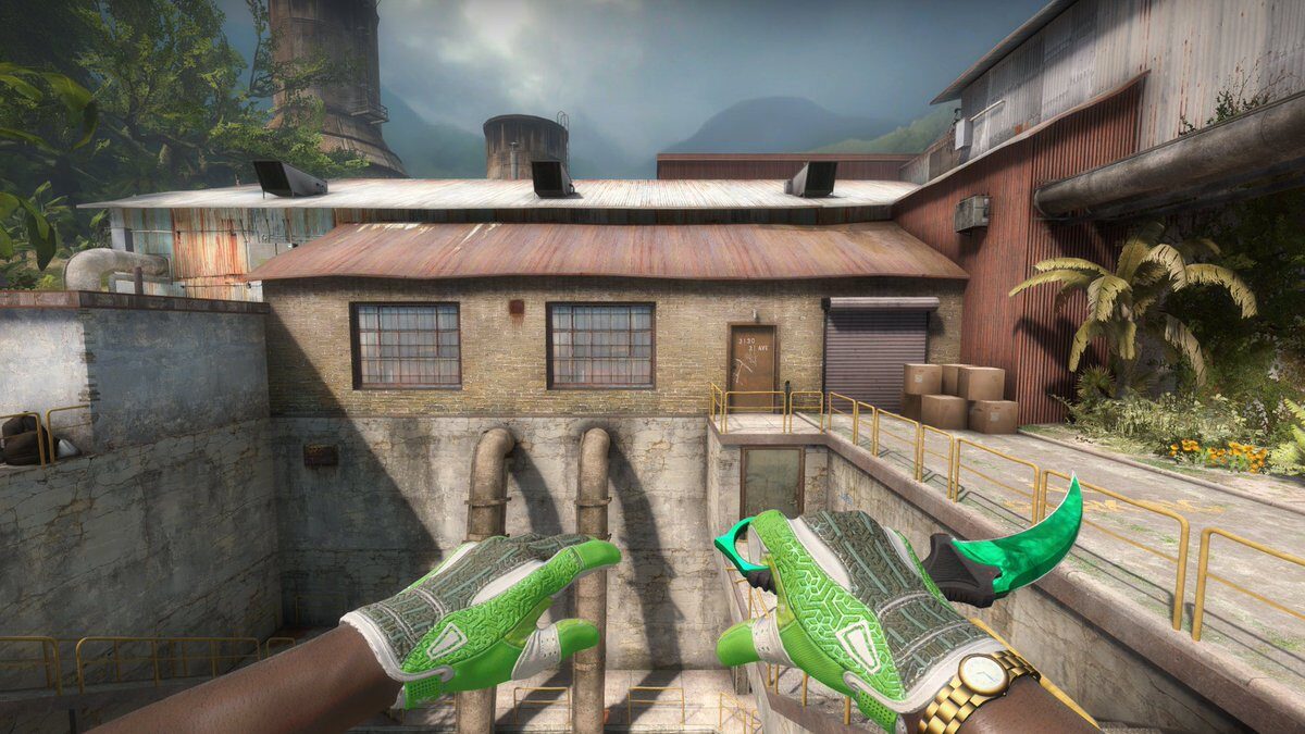 Hedge Maze Gloves + Karambit Gamma Doppler (Emerald)