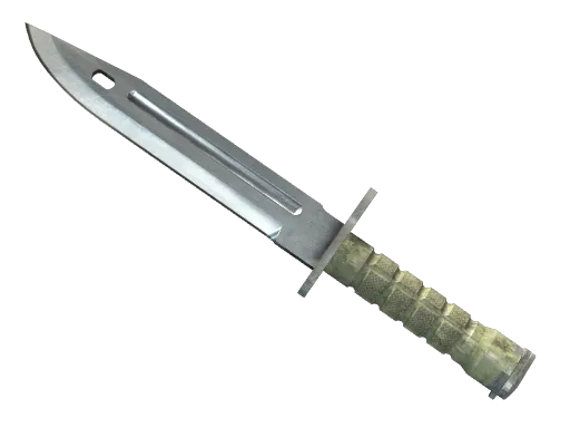 Bayonet cs2