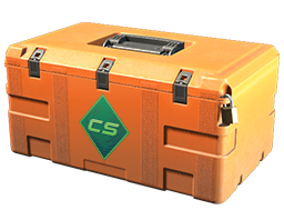 Gallery Case cs2