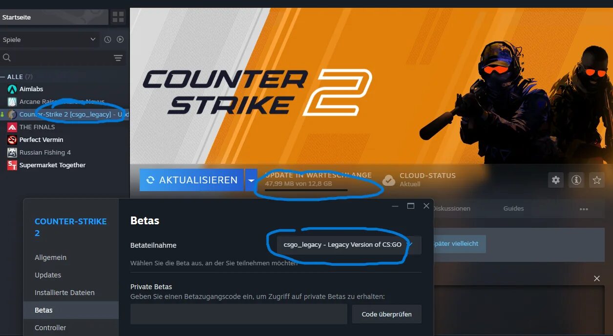 Reinstall CS2