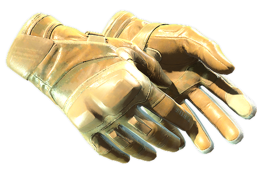 Moto Gloves Transport