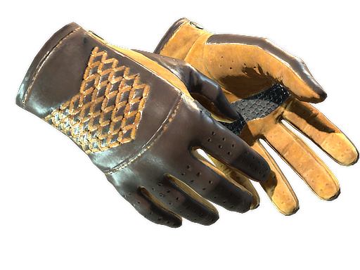 Driver Gloves Overtake