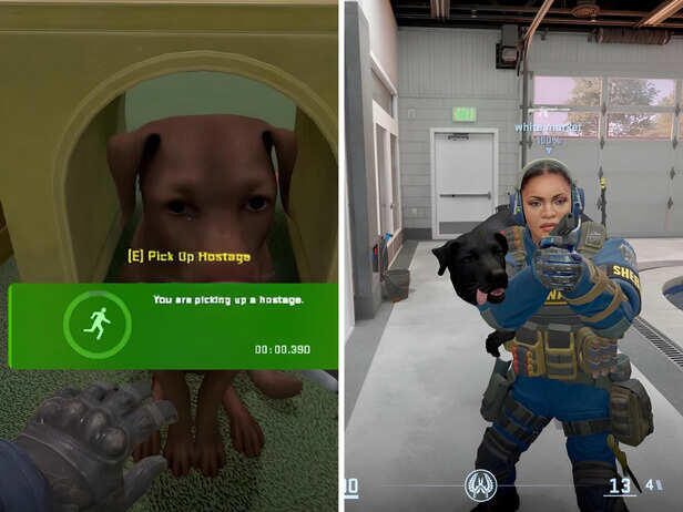 What Is Shelter Like to Play? cs2 new map
