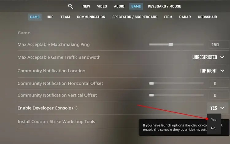 How to Enable the Developer Console cs2