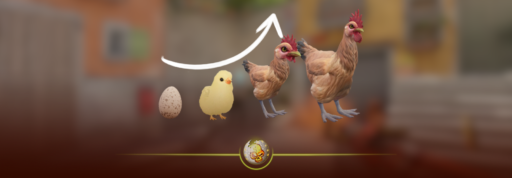 CS2 chicken Feed how to grow your cs2 chicken