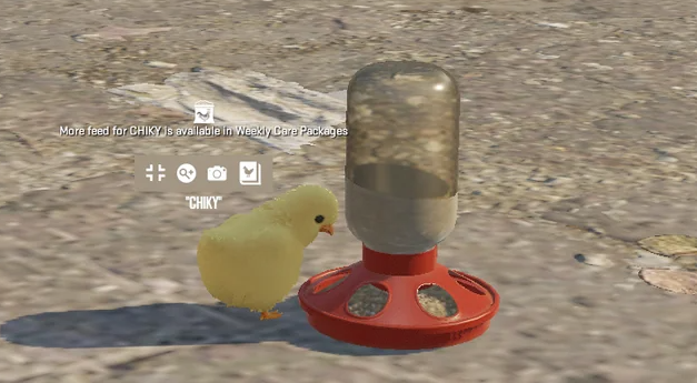 cs2 chicken feed eating