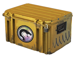 Recoil Case cs2