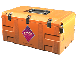 Fever Case cs2