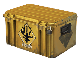 Spectrum Case cs2
